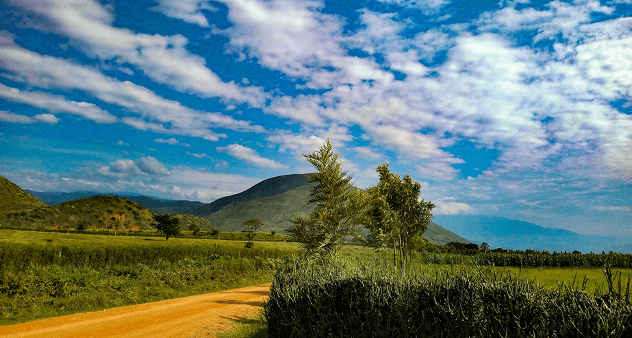 Bahrain eVisa Fee Schedule - Official Fee Structure and Pricing Information for Kingdom of Bahrain Visa Applications